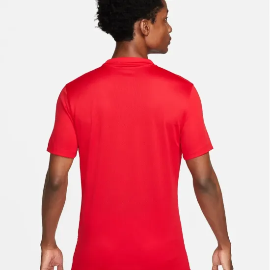 Футболка Nike Dri-FIT Precision VI DR0944-657