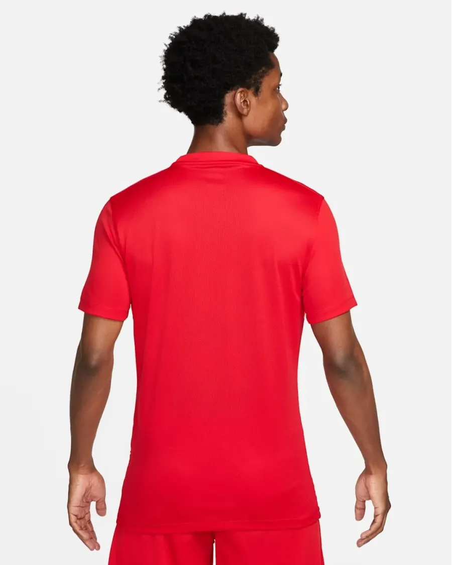 Футболка Nike Dri-FIT Precision VI DR0944-657