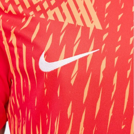 Футболка Nike Dri-FIT Precision VI DR0944-657