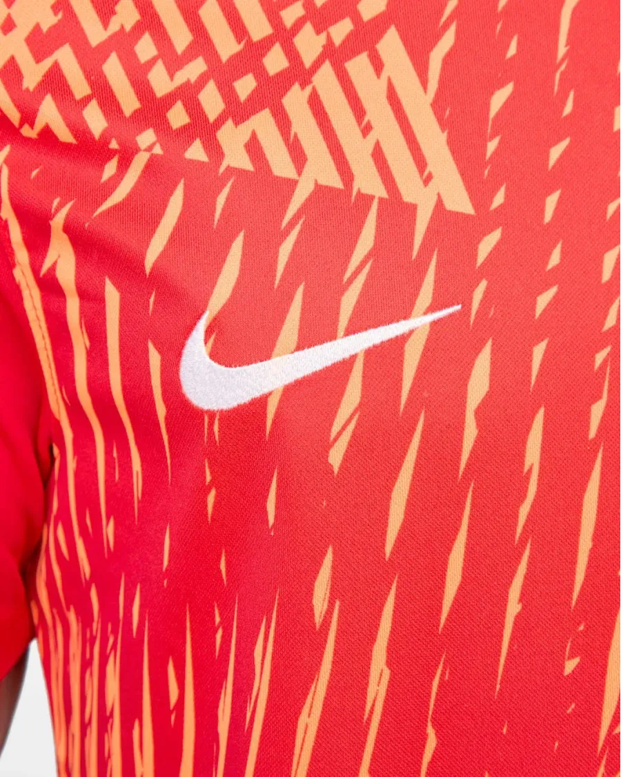 Футболка Nike Dri-FIT Precision VI DR0944-657