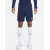 Шорти Nike Dri-FIT League III DR0960-410