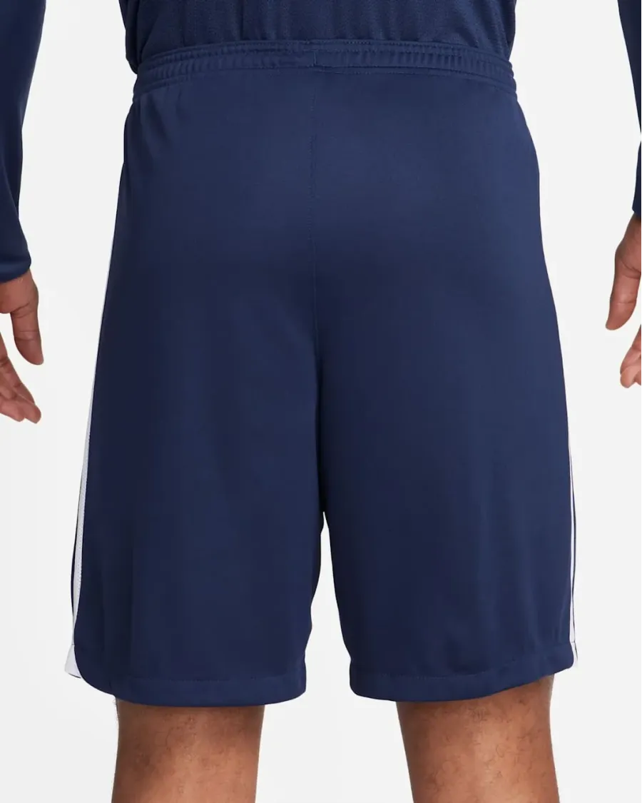 Шорти Nike Dri-FIT League III DR0960-410