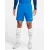 Шорти Nike Dri-FIT League III DR0960-463