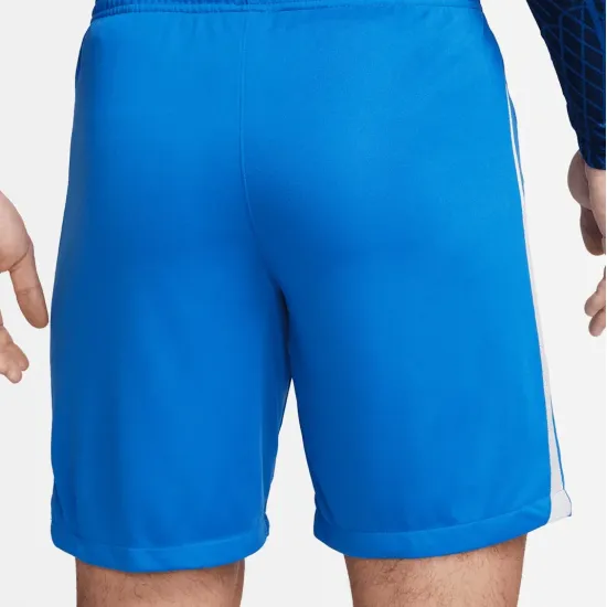 Шорти Nike Dri-FIT League III DR0960-463