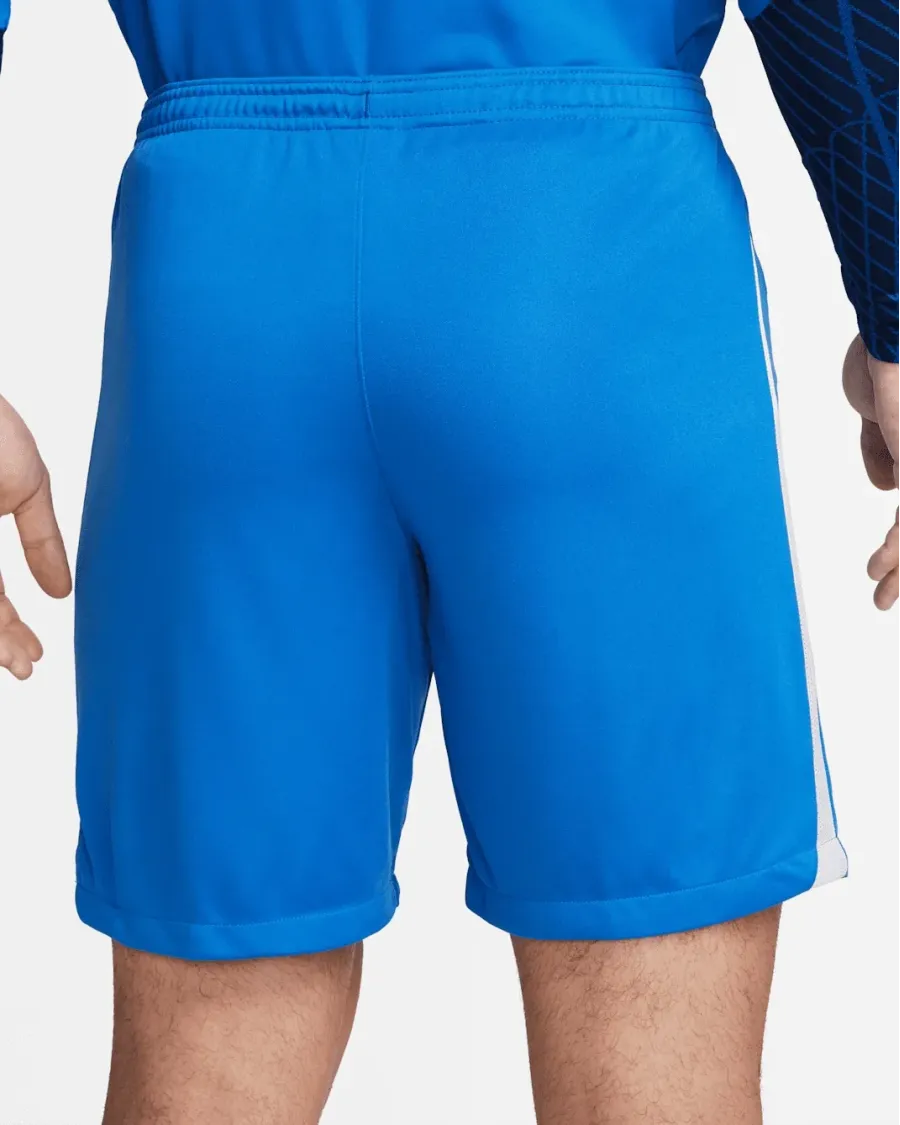 Шорти Nike Dri-FIT League III DR0960-463