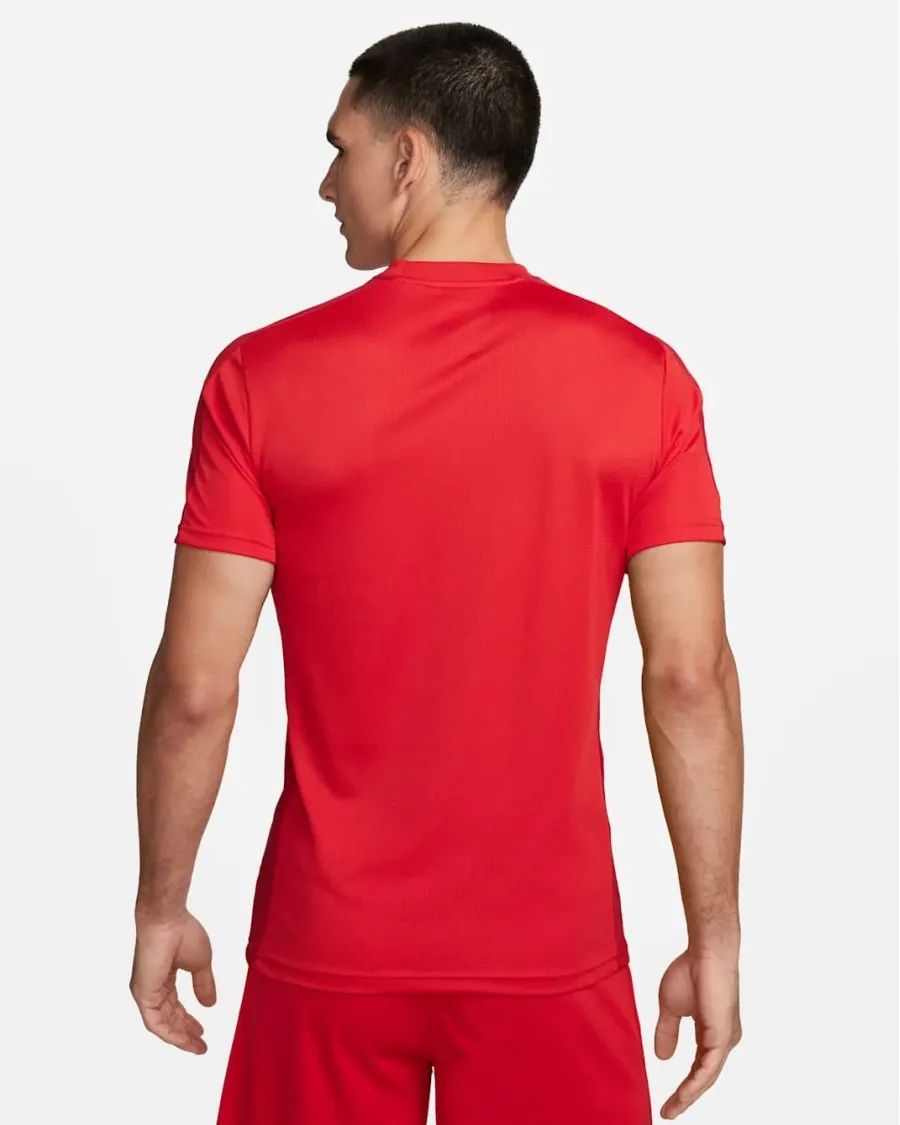 Футболка Nike Dri-FIT Academy 23 Top SS DR1336-657