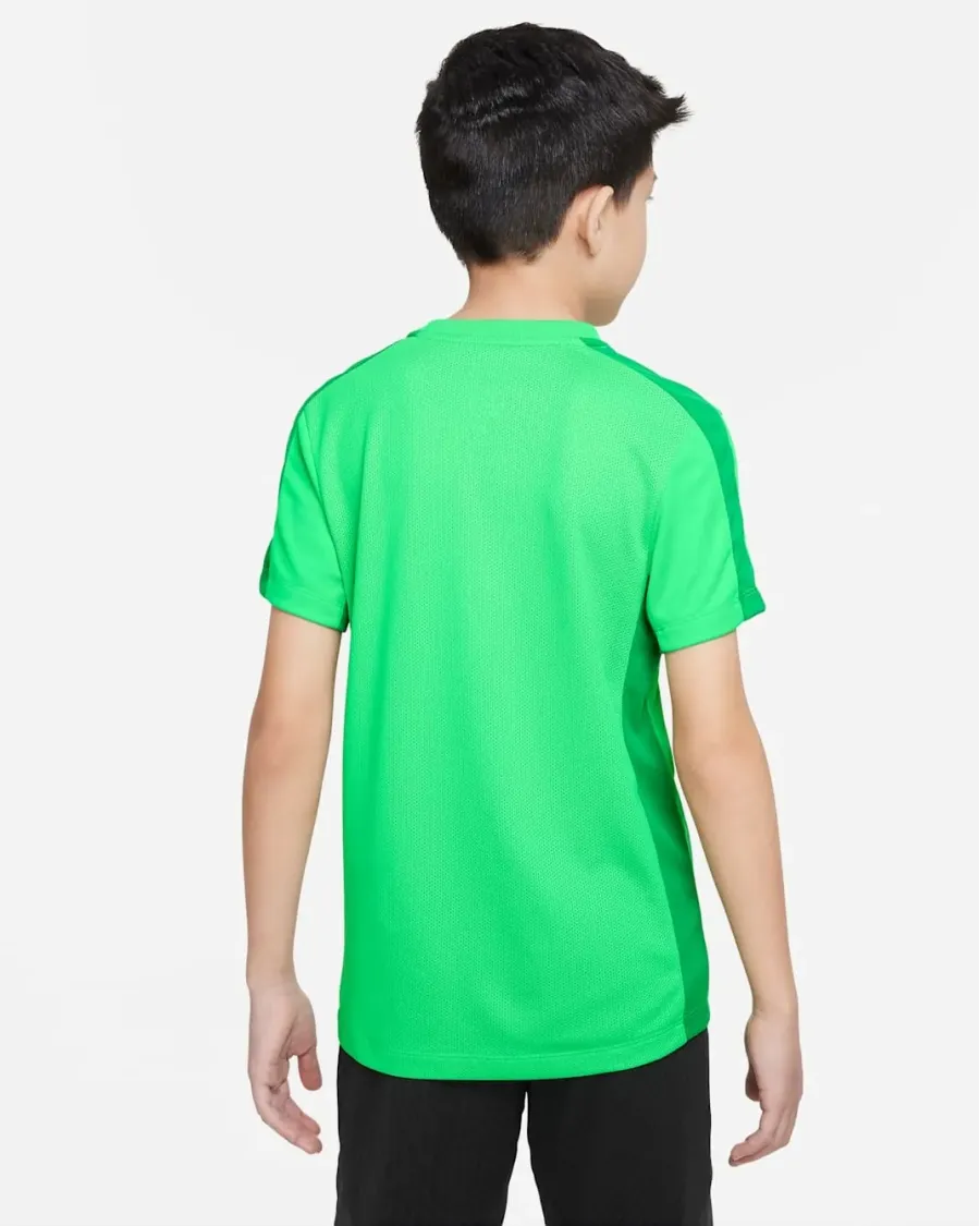 Футболка Nike Dri-FIT Academy 23 DR1343-329