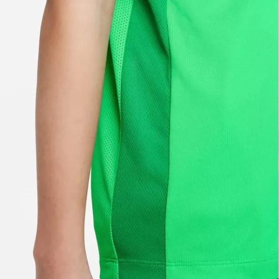 Футболка Nike Dri-FIT Academy 23 DR1343-329