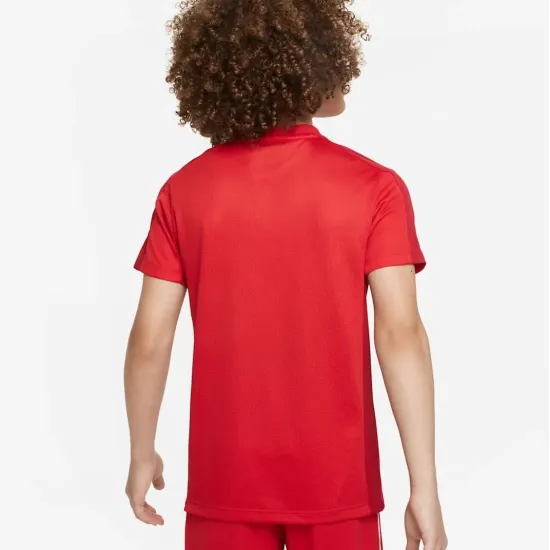 Футболка Nike Dri-FIT Academy 23 DR1343-657