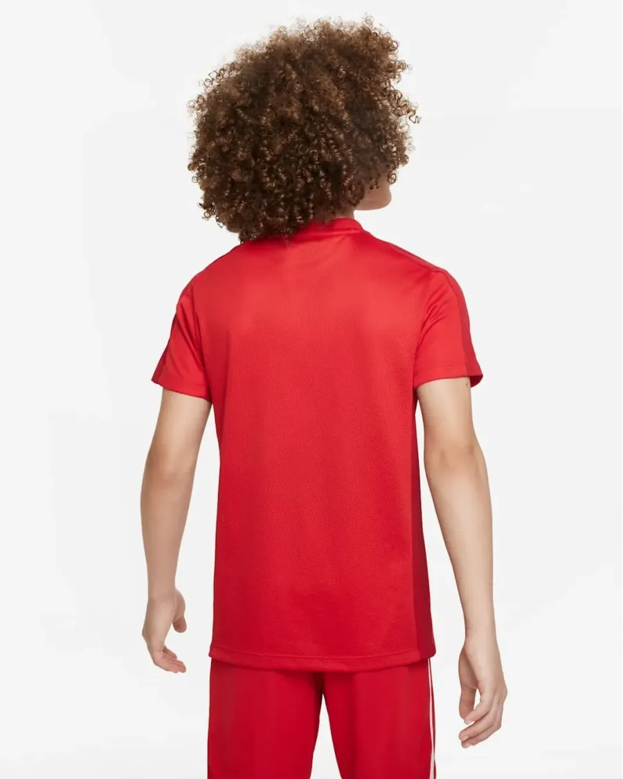 Футболка Nike Dri-FIT Academy 23 DR1343-657