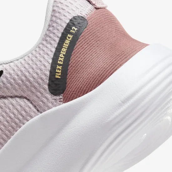 Кросівки Nike Flex Experience Run 12 DV0746-001