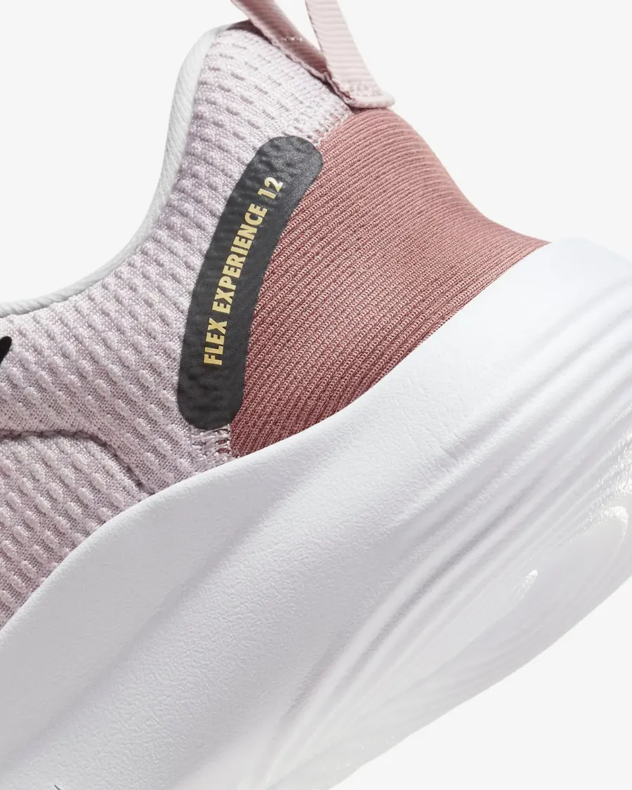 Кросівки Nike Flex Experience Run 12 DV0746-001
