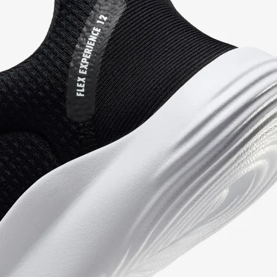 Кросівки Nike Flex Experience Run 12 DV0746-004