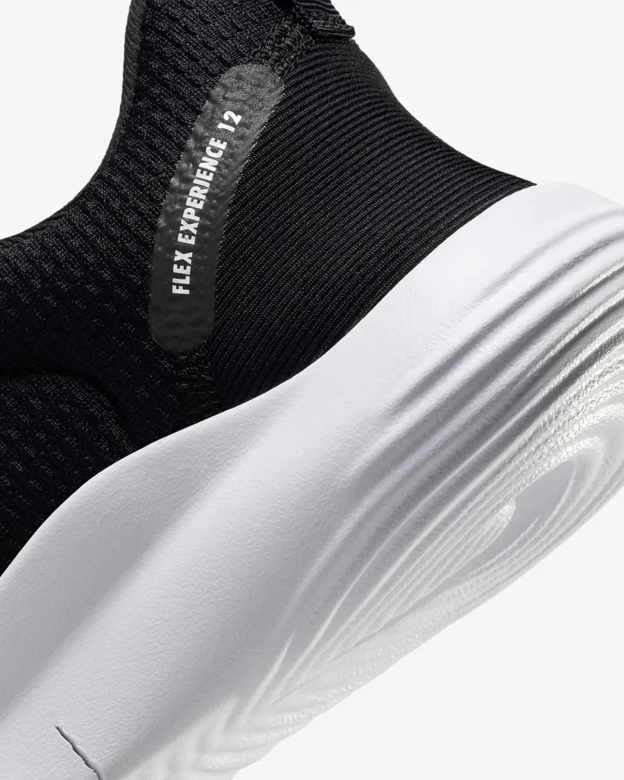 Кросівки Nike Flex Experience Run 12 DV0746-004