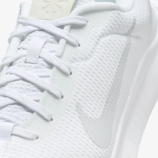 Кросівки Nike Flex Experience Run 12 DV0746-100