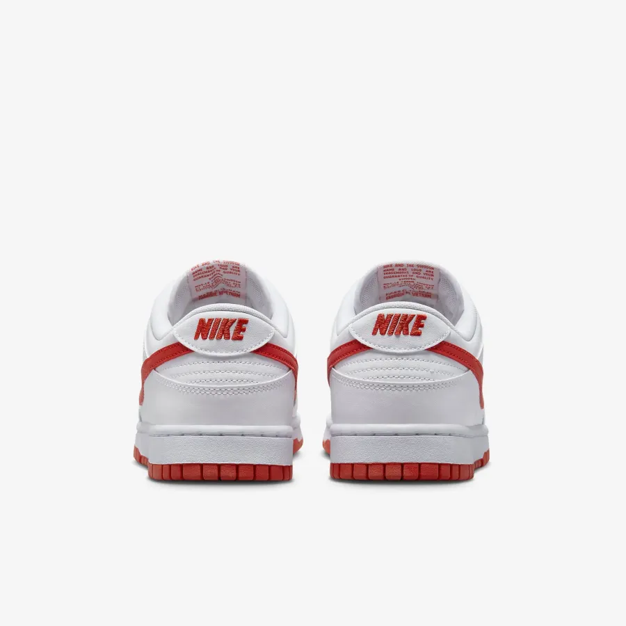 Кросівки Nike Dunk Low Retro DV0831-103