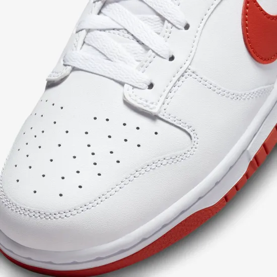 Кросівки Nike Dunk Low Retro DV0831-103