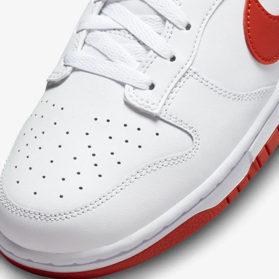 Кросівки Nike Dunk Low Retro DV0831-103
