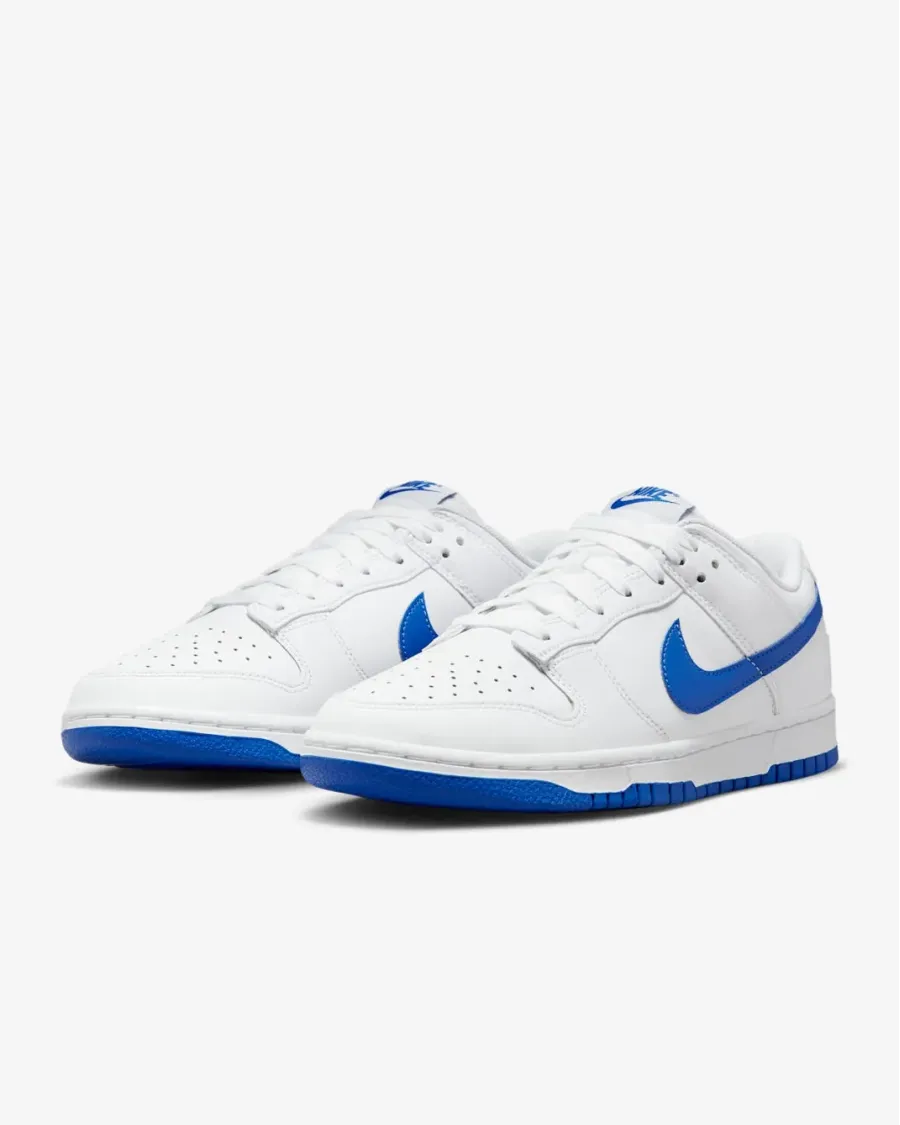 Кросівки Nike Dunk Low Retro DV0831-104