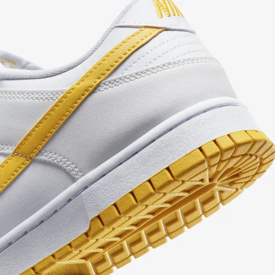 Кросівки Nike Dunk Low Retro DV0831-110