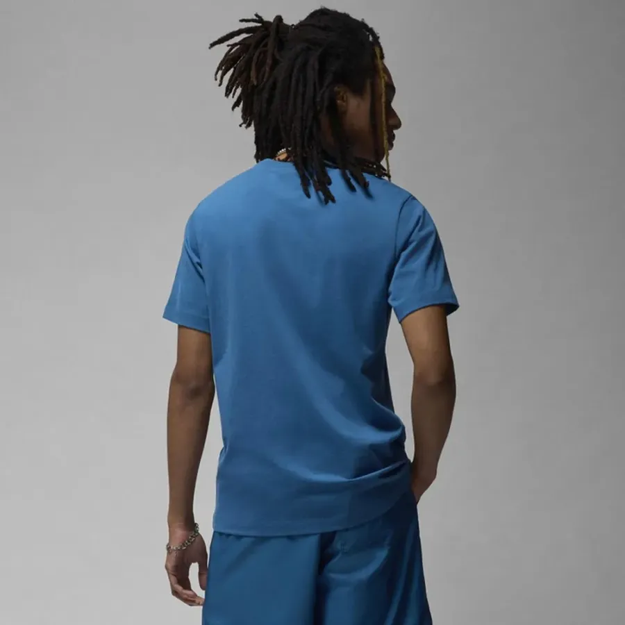 Футболка Nike Air Jordan Stretch SS DV1445-457