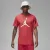 Футболка Nike Air Jordan Stretch SS DV1445-604