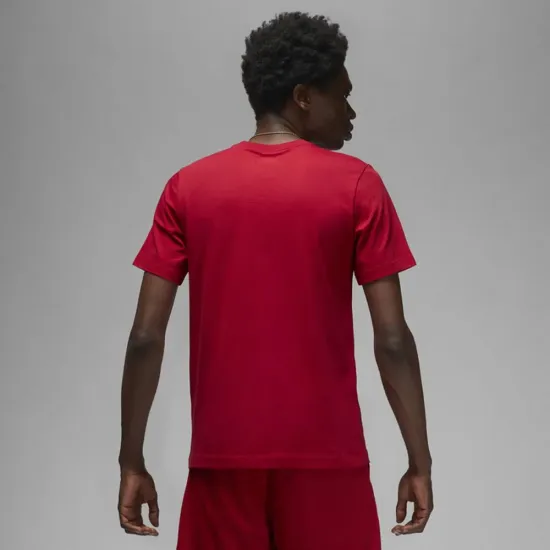 Футболка Nike Air Jordan Stretch SS DV1445-687