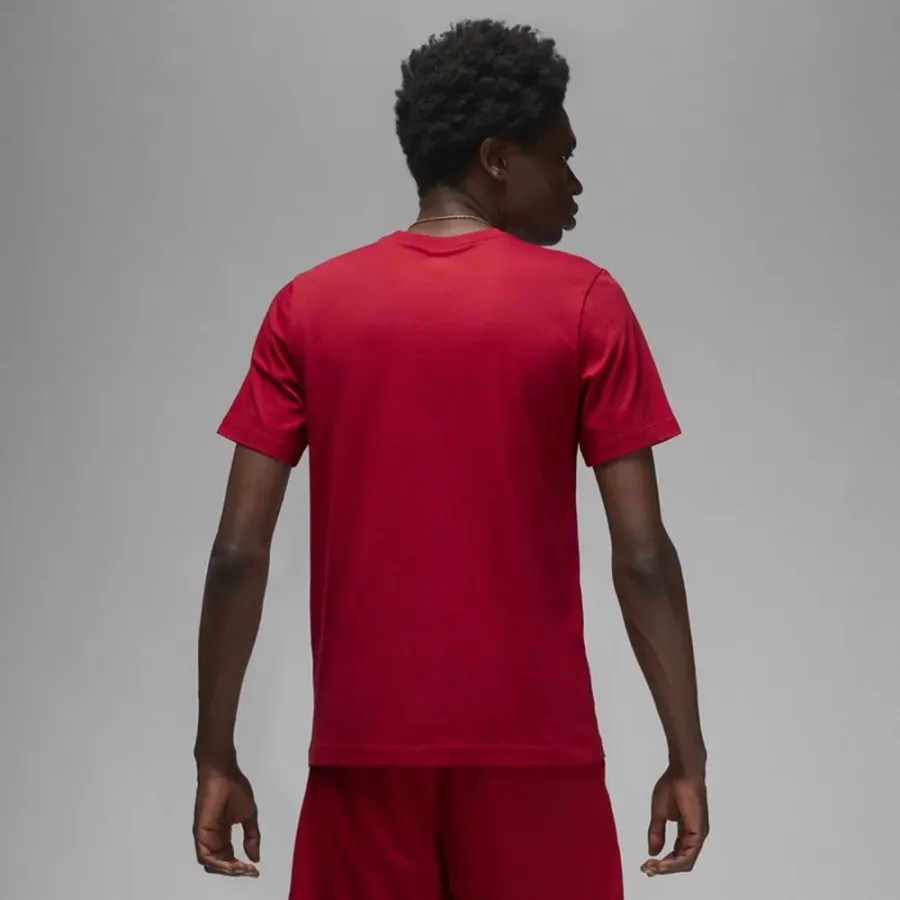 Футболка Nike Air Jordan Stretch SS DV1445-687