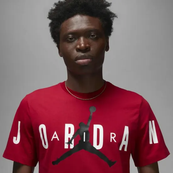 Футболка Nike Air Jordan Stretch SS DV1445-687