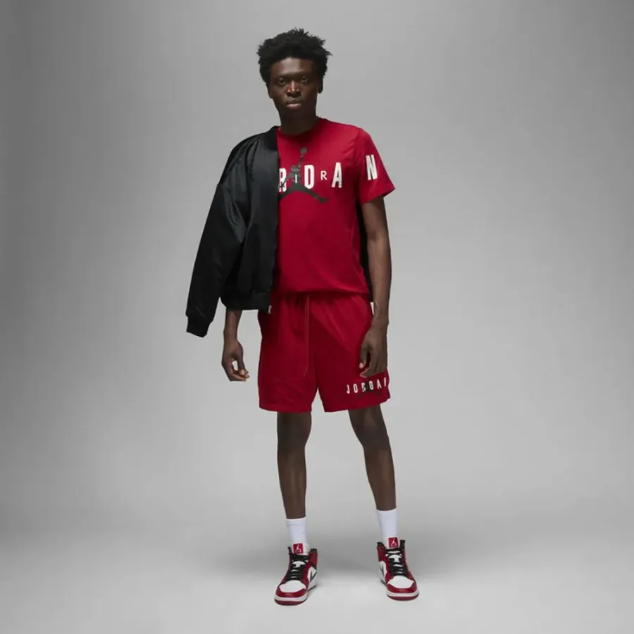 Футболка Nike Air Jordan Stretch SS DV1445-687