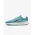 Кросівки Nike Vapor Lite 2 HC DV2018-401