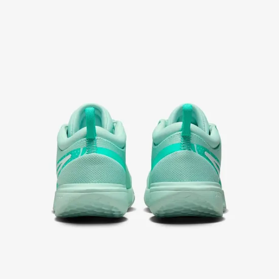Кросівки Nike Air Zoom Court Pro HC DV3285-300
