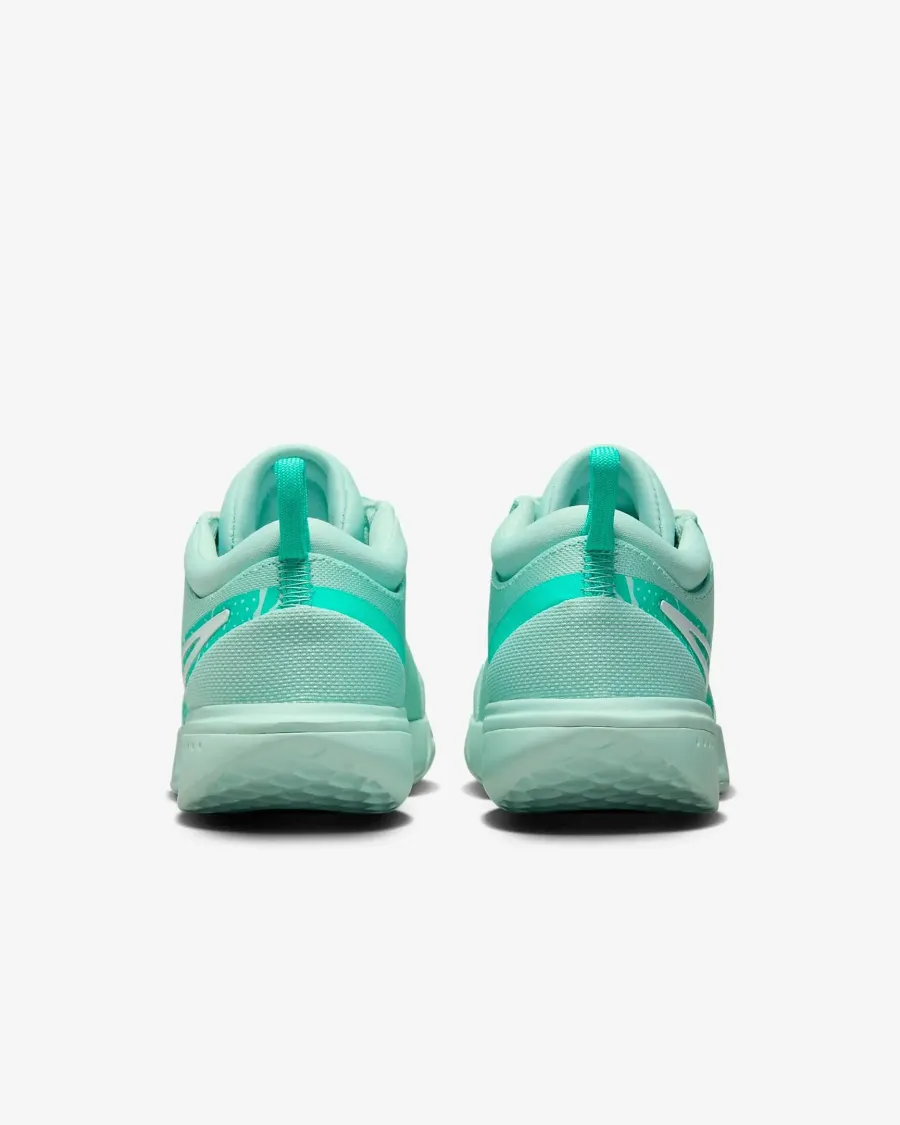 Кросівки Nike Air Zoom Court Pro HC DV3285-300