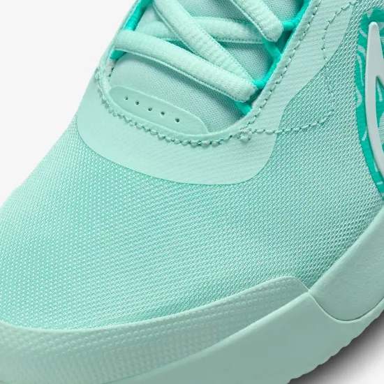 Кросівки Nike Air Zoom Court Pro HC DV3285-300