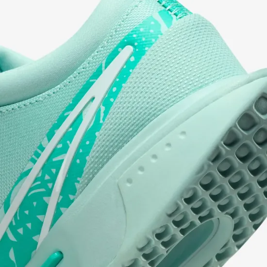 Кросівки Nike Air Zoom Court Pro HC DV3285-300