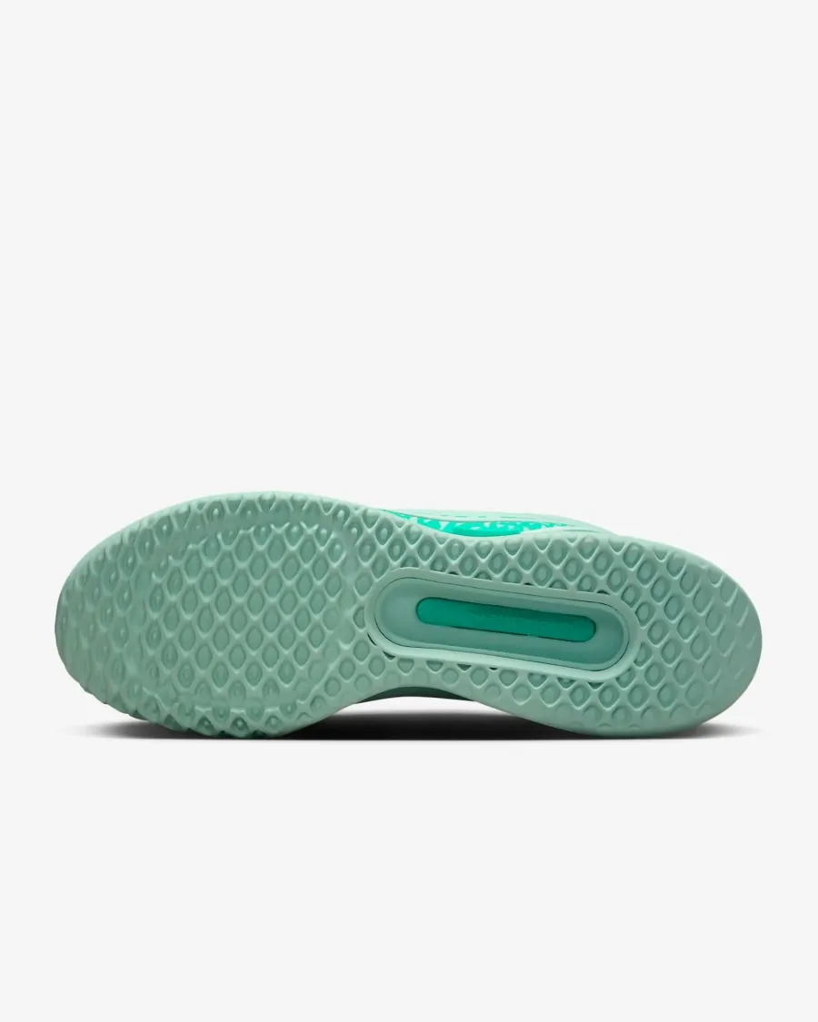 Кросівки Nike Air Zoom Court Pro HC DV3285-300