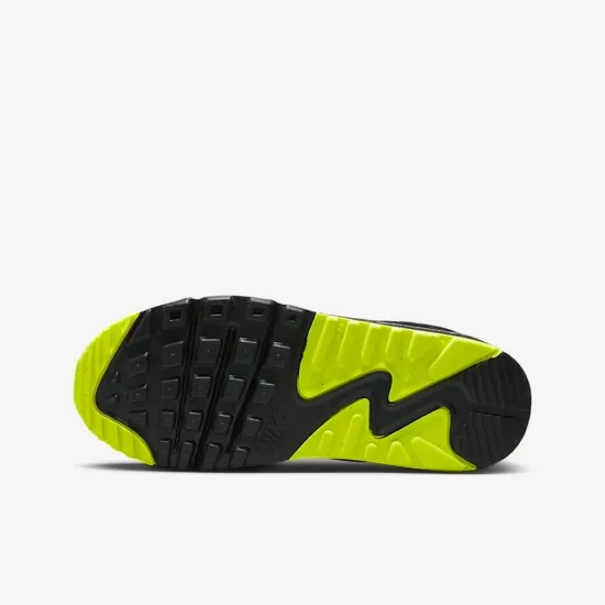 Кросівки Nike Air Max 90 Leather DV3607-200