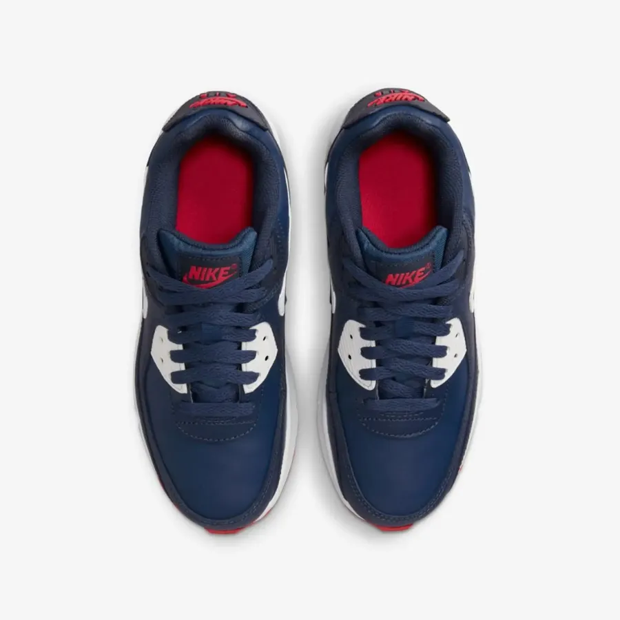 Кросівки Nike Air Max 90 Leather DV3607-400