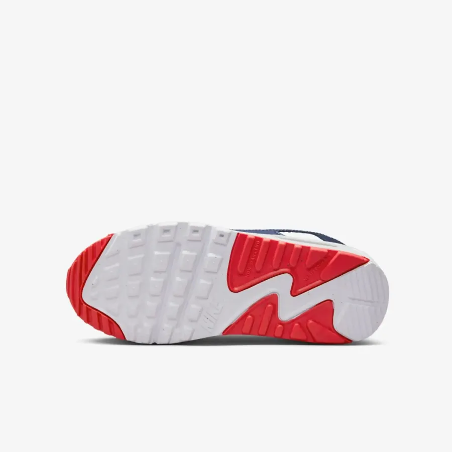 Кросівки Nike Air Max 90 Leather DV3607-400