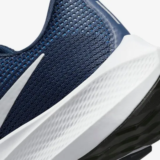 Кросівки Nike Air Zoom Pegasus 40 DV3853-400