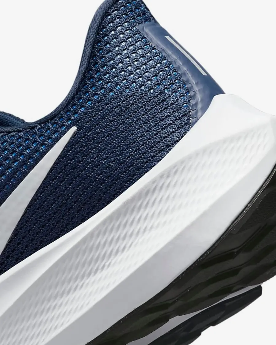 Кросівки Nike Air Zoom Pegasus 40 DV3853-400