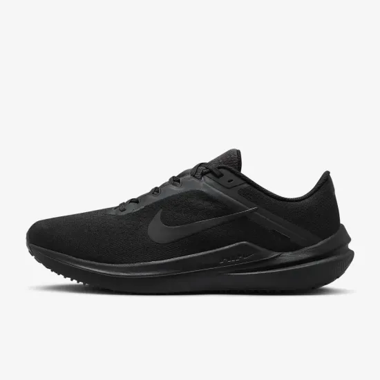 Кросівки Nike Winflo 10 DV4022-001