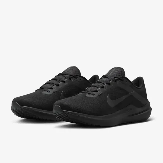 Кросівки Nike Winflo 10 DV4022-001