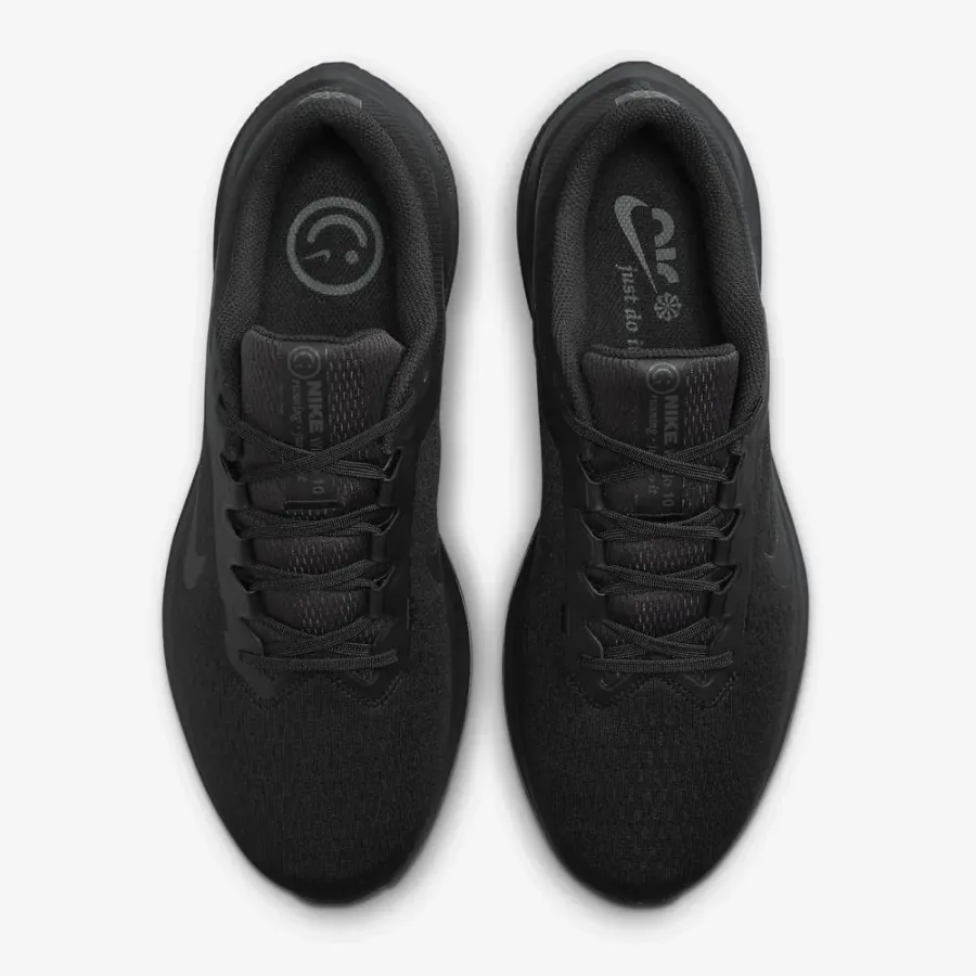 Кросівки Nike Winflo 10 DV4022-001