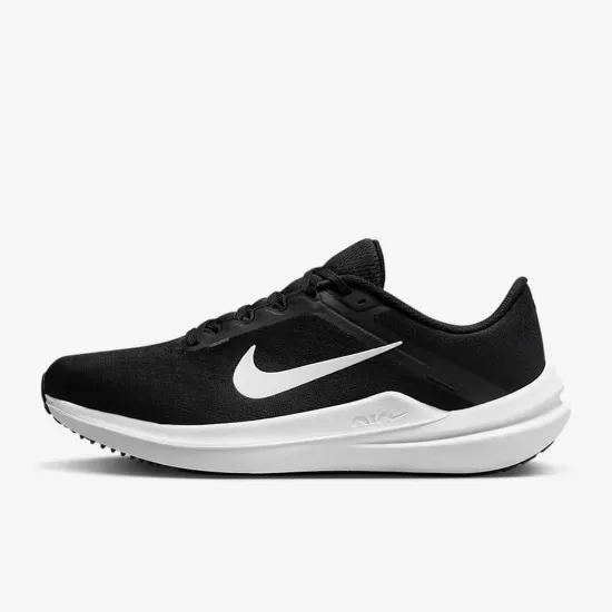Кросівки Nike Winflo 10 DV4022-003