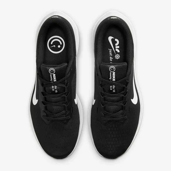Кросівки Nike Winflo 10 DV4022-003