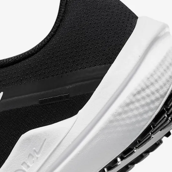 Кросівки Nike Winflo 10 DV4022-003