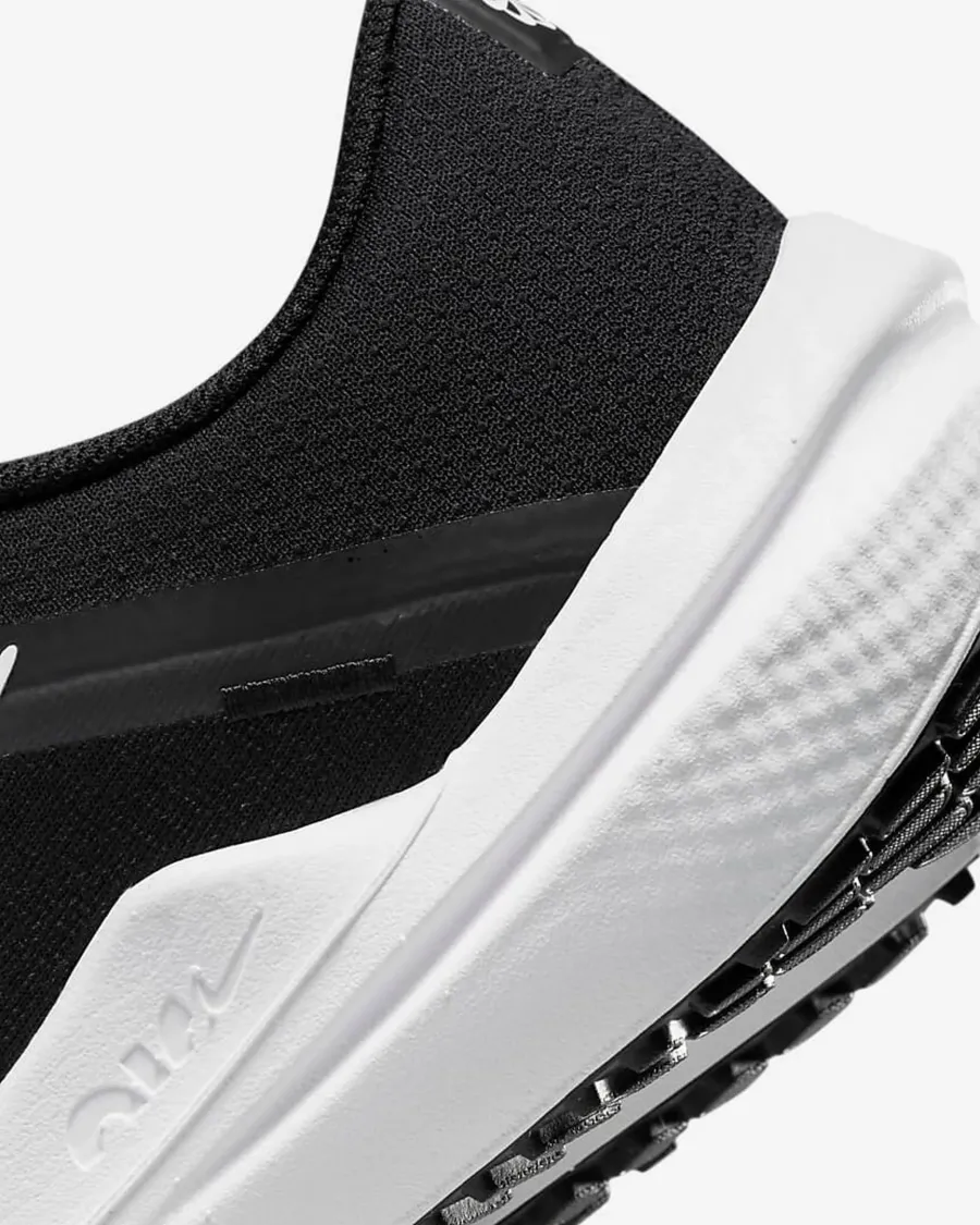 Кросівки Nike Winflo 10 DV4022-003