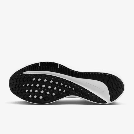 Кросівки Nike Winflo 10 DV4022-003