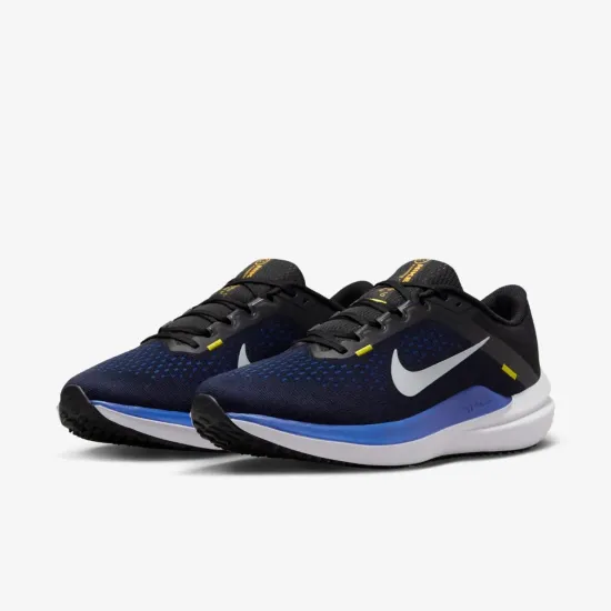 Кросівки Nike Winflo 10 DV4022-005